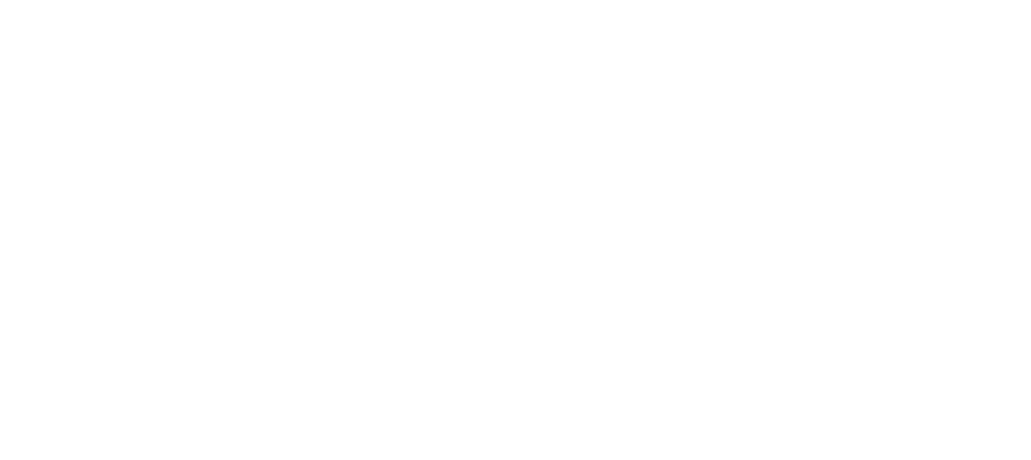 Skønhedspletten LOGO Hvidt